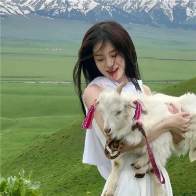 沈总别演了你的白月光注销了